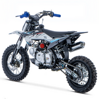 PIT BIKE 90CC 4T X-PRO ZIZ.RACING AUTOMÁTICA 12\"_5666.jpg