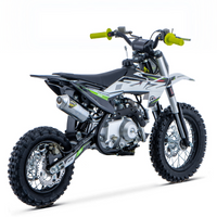 PIT BIKE 90CC 4T X-PRO ZIZ.RACING AUTOMÁTICA 12\"_5669.jpg