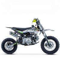 PIT BIKE 90CC 4T X-PRO ZIZ.RACING AUTOMÁTICA 12\"_5670.jpg