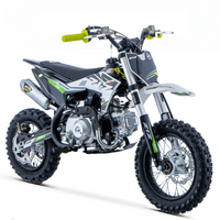 PIT BIKE 90CC 4T X-PRO ZIZ.RACING AUTOMÁTICA 12\"_5672.jpg