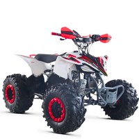 QUAD 125CC 4T AUTOMATICO 1+N+R M.RACING_2826.jpg