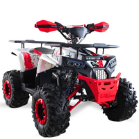 QUAD 125CC 4T SEMI-AUTOMATICO 1+R HUNTER R8 2025_2467.jpg