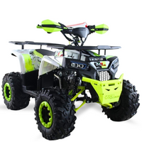 QUAD 125CC 4T SEMI-AUTOMATICO 1+R HUNTER R8 2025_2474.jpg