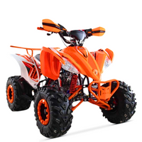 QUAD 125CC 4T SHADOW 3+R SEMIAUTOMATICO_2695.jpg