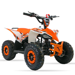 Mini Quads electrico 1000W 36V MR30 Raptor