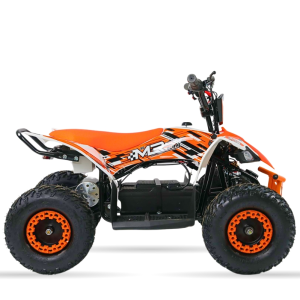 Mini Quads electrico 1000W 36V MR30 Raptor