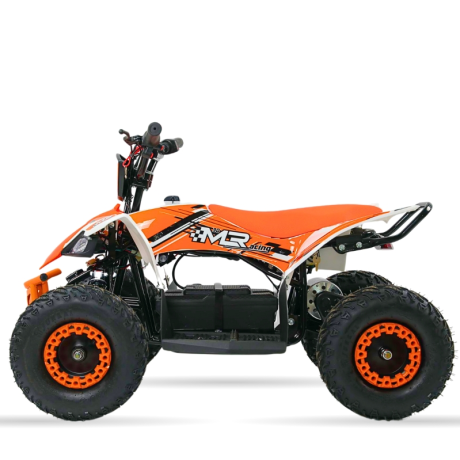 Mini Quads electrico 1000W 36V MR30 Raptor