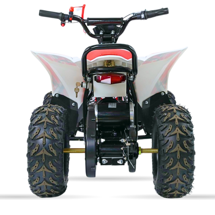 Mini Quads electrico 1000W 36V MR30 Raptor