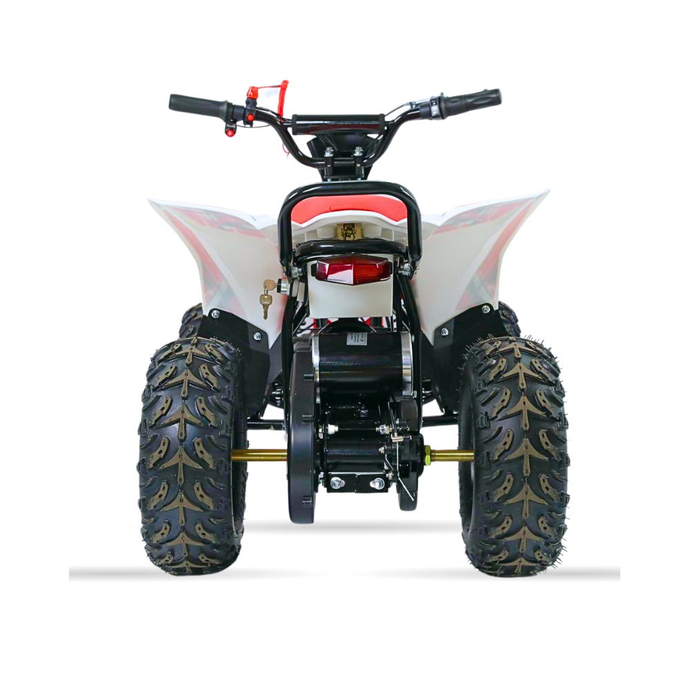 Mini Quads electrico 1000W 36V MR30 Raptor