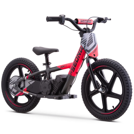 BICI ELECTRICA SEDNA MX16 250W 24V 5.2AH BRUSHLESS