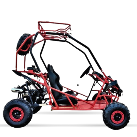 BUGGY GASOLINA INFANTIL 125CC 4T BIPLAZA R7