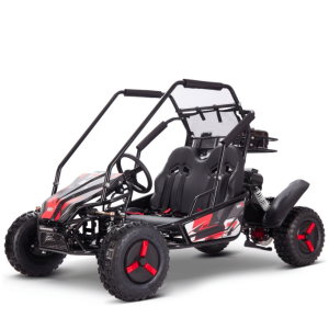 BUGGY GASOLINA INFANTIL 125CC 4T BIPLAZA XL R8