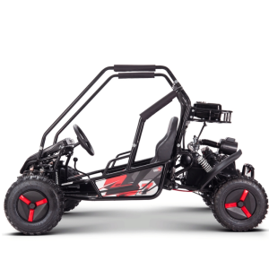 BUGGY GASOLINA INFANTIL 125CC 4T BIPLAZA XL R8