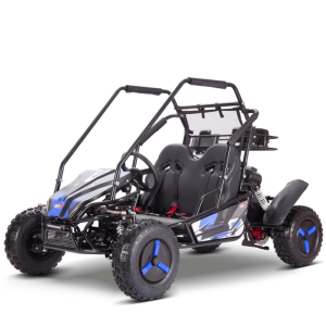 BUGGY GASOLINA INFANTIL 125CC 4T BIPLAZA XL R8