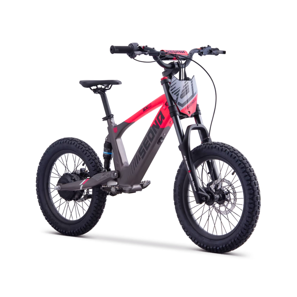 BICI ELECTRICA SEDNA SX18 500W 36V 5AH BRUSHLESS