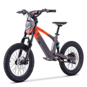 BICI ELECTRICA SEDNA SX18 500W 36V 5AH BRUSHLESS