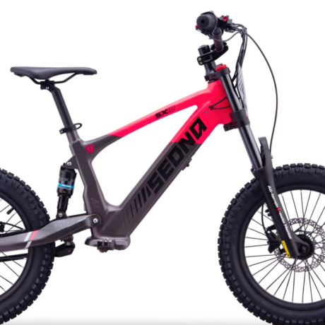 BICI ELECTRICA SEDNA SX18 500W 36V 5AH BRUSHLESS