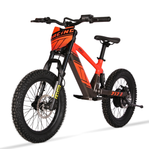 BICI ELECTRICA EOS-18 550W 36V 7.5AH ZIZ.RACING