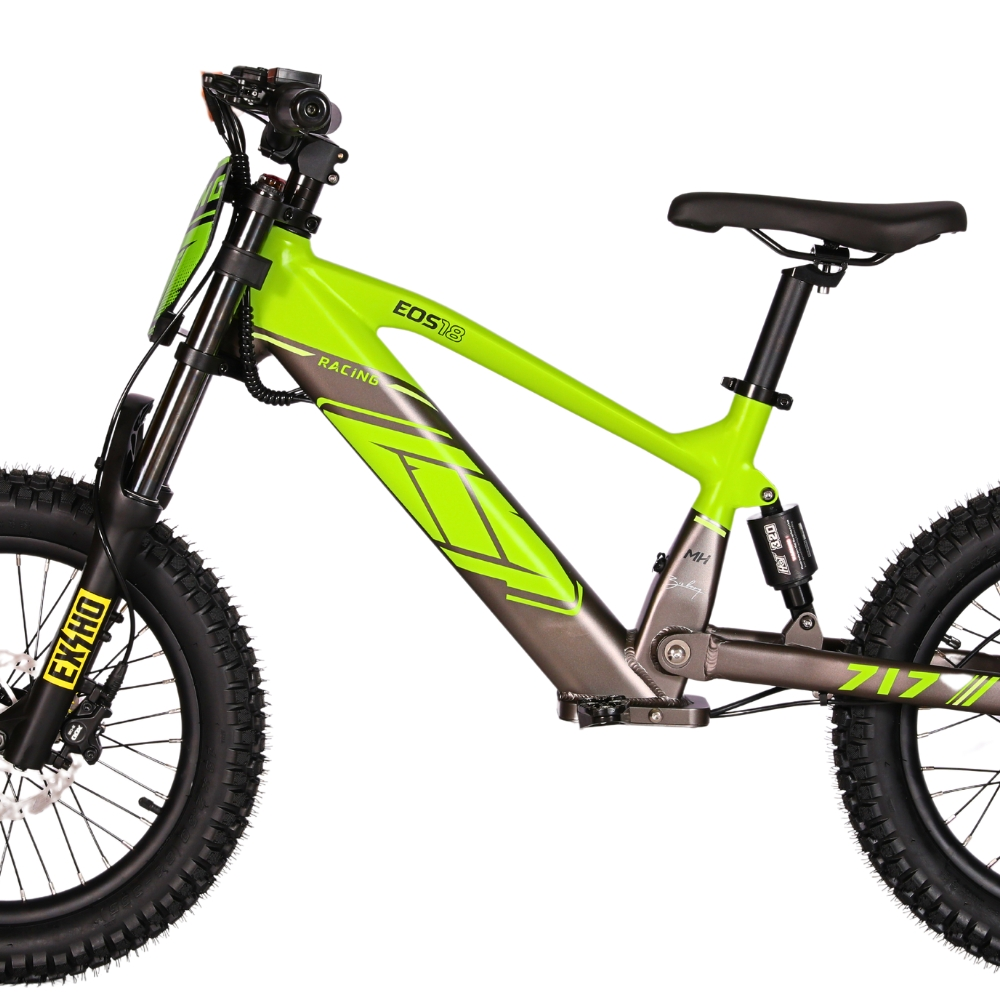 BICI ELECTRICA EOS-18 550W 36V 7.5AH ZIZ.RACING