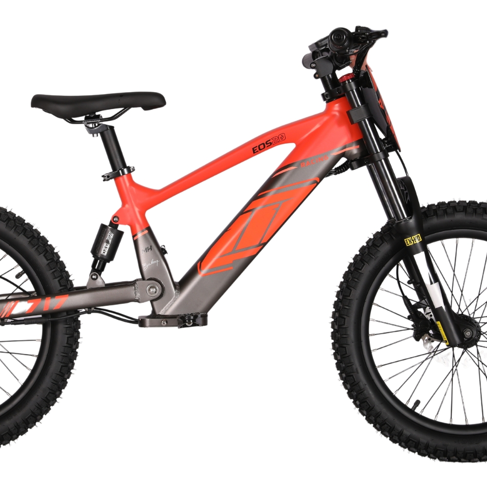 BICI ELECTRICA EOS-20 550W 36V 7.5AH ZIZ.RACING