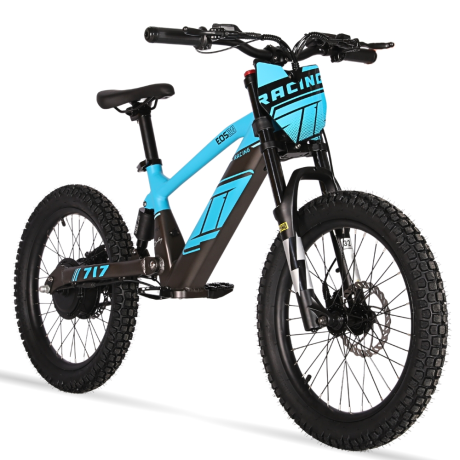 BICI ELECTRICA EOS-20 550W 36V 7.5AH ZIZ.RACING