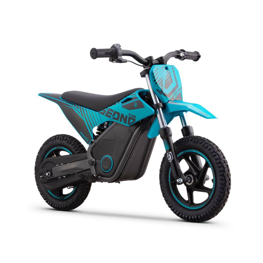 MINIMOTO ELÉCTRICA 250W SEDNA TXR R12/12 