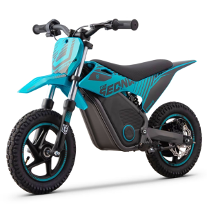 MINIMOTO ELÉCTRICA 250W SEDNA TXR R12/12"