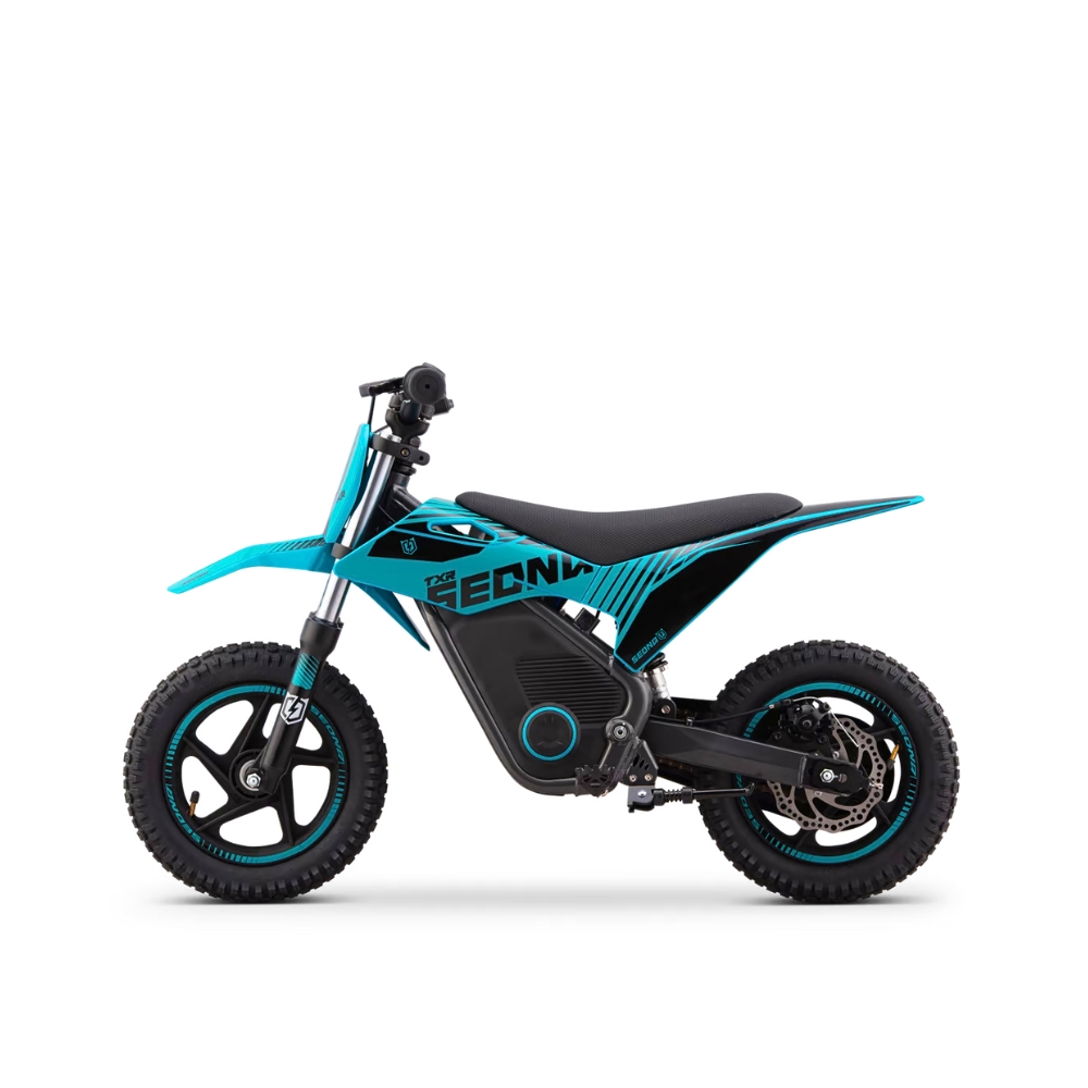 MINIMOTO ELÉCTRICA 250W SEDNA TXR R12/12"