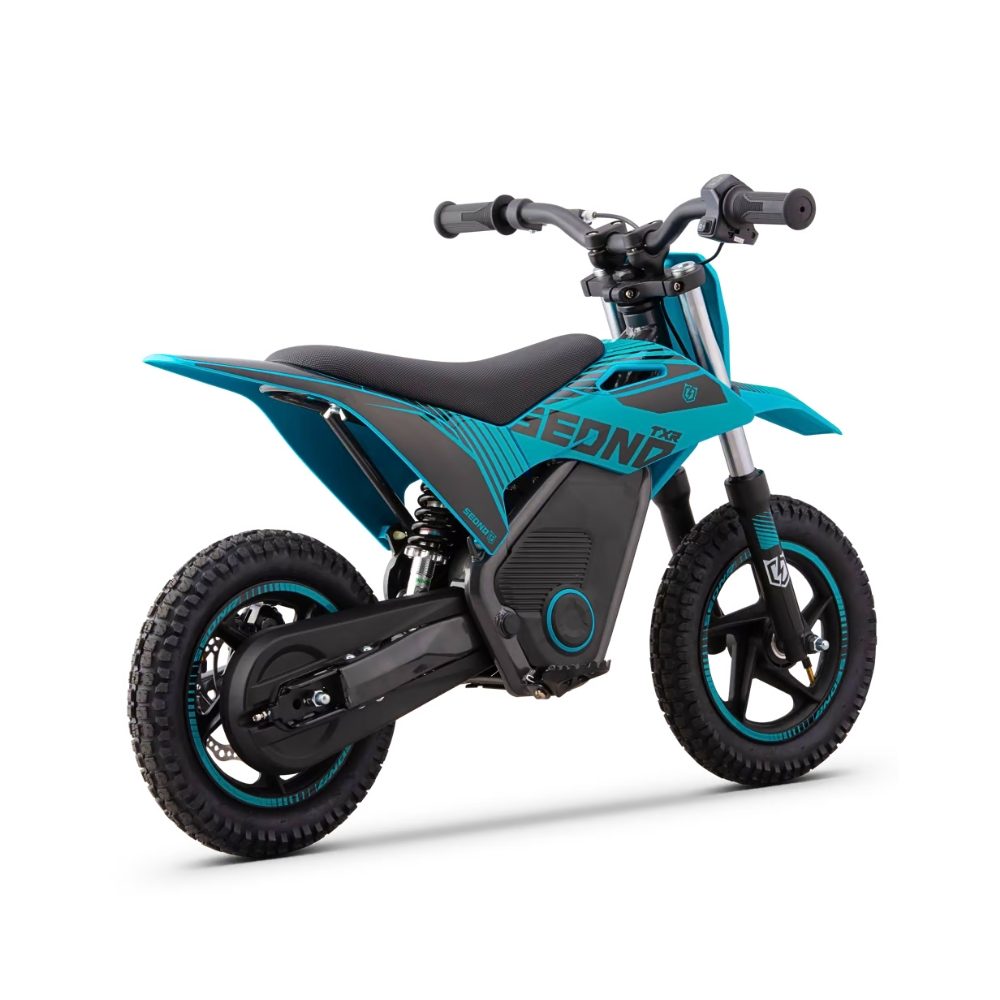 MINIMOTO ELÉCTRICA 250W SEDNA TXR R12/12"