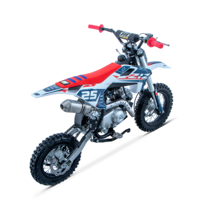 PIT BIKE 90CC 4T AUTOMATICO 12/10 DELTA ZIZ RACING