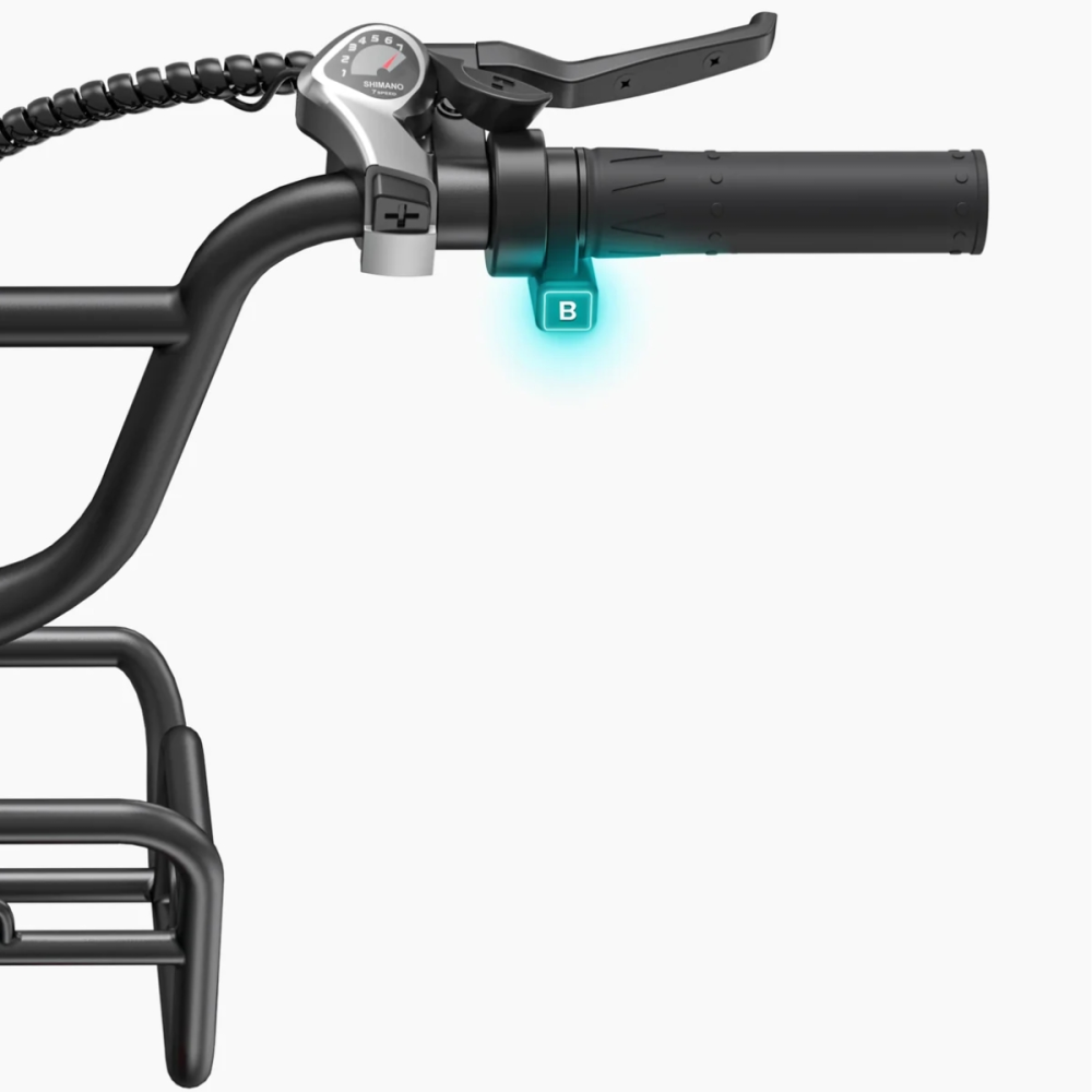 BICICLETA ELECTRICA ENGWE L20 BOOST 250W 48V 13AH