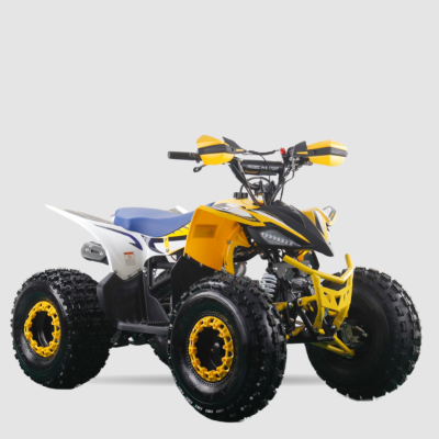 QUAD 125CC 4T SEMI-AUTOMATICO 3+R REBEL MASTER R8