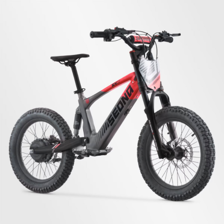 BICI ELECTRICA SEDNA SX18 500W 36V 5AH BRUSHLESS