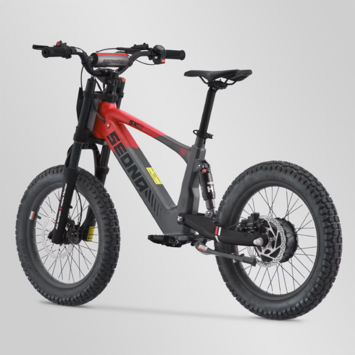 BICI ELECTRICA SEDNA SX18 500W 36V 5AH BRUSHLESS