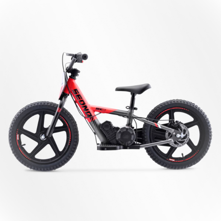 BICI ELECTRICA SEDNA MX16 250W 24V 5.2AH BRUSHLESS