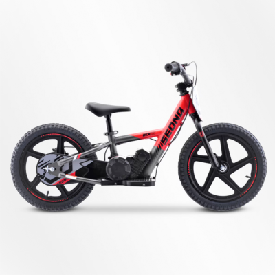 BICI ELECTRICA SEDNA MX16 250W 24V 5.2AH BRUSHLESS