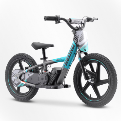 BICI ELECTRICA SEDNA MX16 250W 24V 5.2AH BRUSHLESS