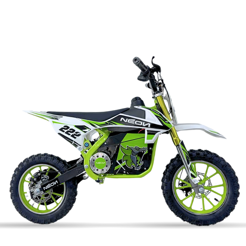 MINICROSS 1000W 36V M.RACING 10/10\" CON PANTALLA _957.jpg