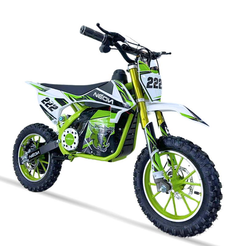 MINICROSS 1000W 36V M.RACING 10/10\" CON PANTALLA _958.jpg