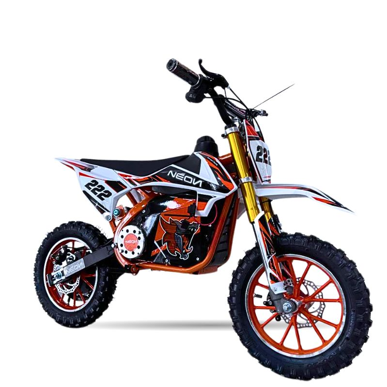 MINICROSS 1000W 36V M.RACING 10/10\" CON PANTALLA _960.jpg