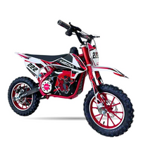 MINICROSS 1000W 36V M.RACING 10/10\" CON PANTALLA _961.jpg