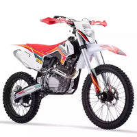 PIT BIKE REBEL MASTER 250CC 4T SABRE RUEDAS 21/18_1802.jpg
