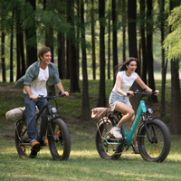 BICICLETA ELECTRICA ENGWE E26  250W 48V 13AH_2592.jpg