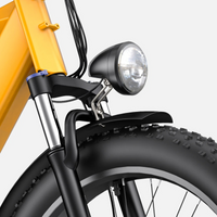 BICICLETA ELECTRICA ENGWE E26  250W 48V 13AH_2610.jpg