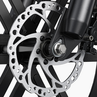 BICICLETA ELECTRICA ENGWE L20 BOOST  250W 48V 13AH_2560.jpg