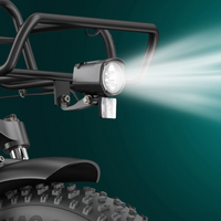 BICICLETA ELECTRICA ENGWE L20 BOOST  250W 48V 13AH_2570.jpg