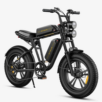 BICICLETA ELECTRICA ENGWE M20 DUAL  250W 48V 13AH_2572.jpg