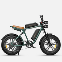 BICICLETA ELECTRICA ENGWE M20 DUAL  250W 48V 13AH_2573.jpg
