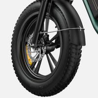 BICICLETA ELECTRICA ENGWE M20 DUAL  250W 48V 13AH_2575.jpg