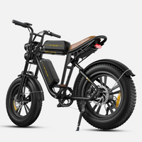 BICICLETA ELECTRICA ENGWE M20 DUAL  250W 48V 13AH_2579.jpg